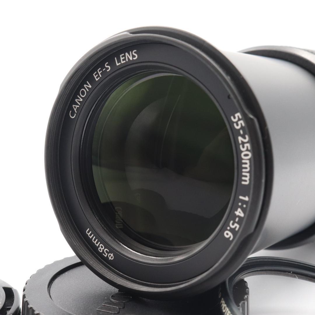 Canon EF-S 55 -250mm F4.5-5.6 IS 望遠