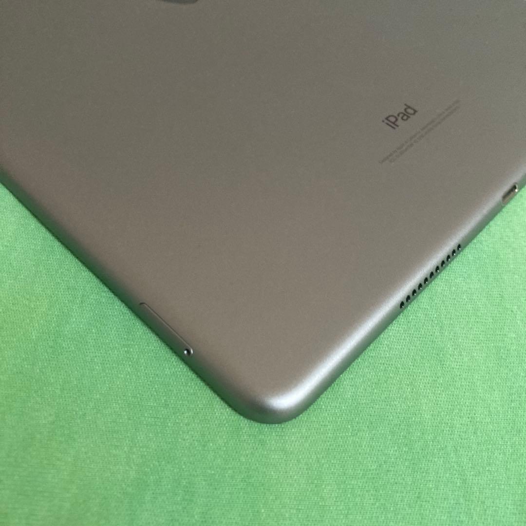 206 電池ほぼ新品☆iPad Pro 256GB 10.5インチ SIMフリー