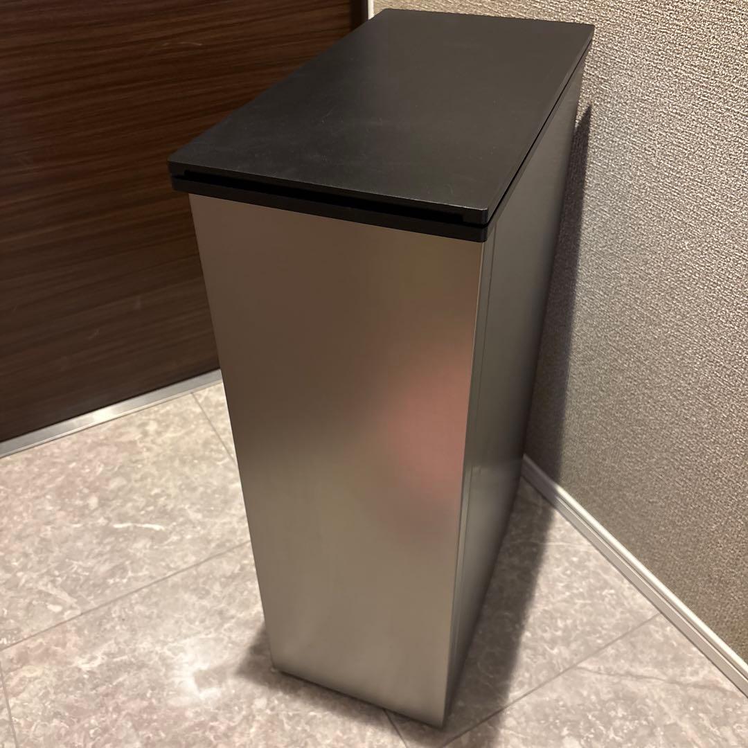 CLEAN BOX 冷やすゴミ箱 冷凍ゴミ箱 20L シルバー