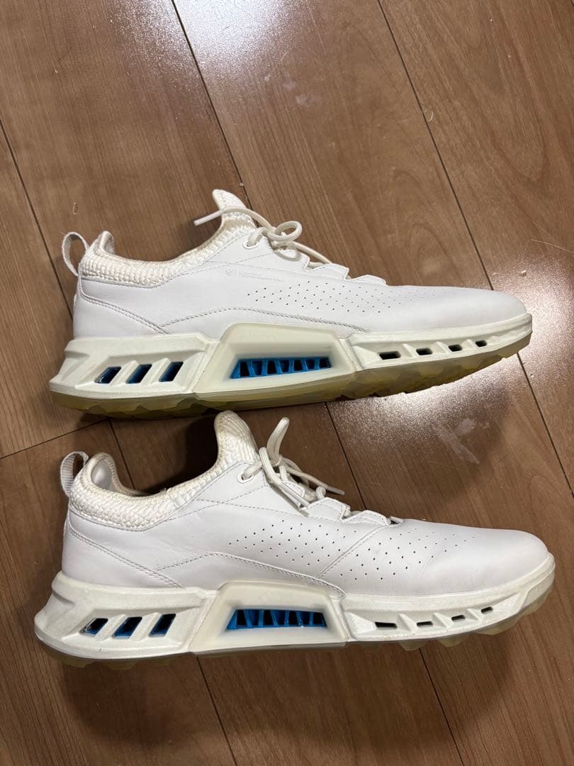 ECCO ecco ゴルフシューズ　Gore-Tex