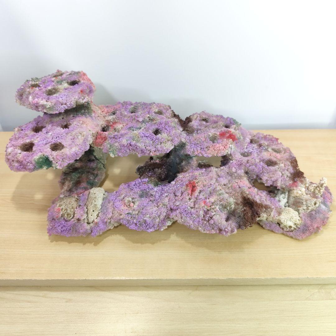 ✐プラグ穴付き 新品 人工ライブロック 60cm海水水槽用 レプリカ 安い1