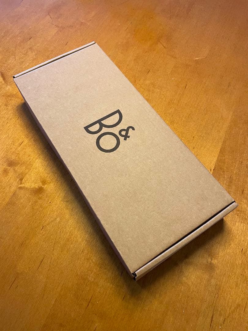 Bang & Olufsen BeoRemote One BT シルク