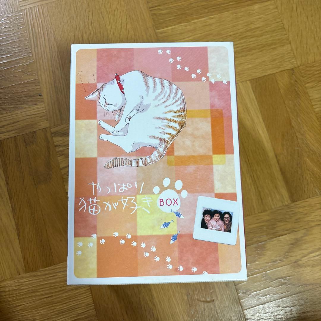 きゅうり猫好き BOX