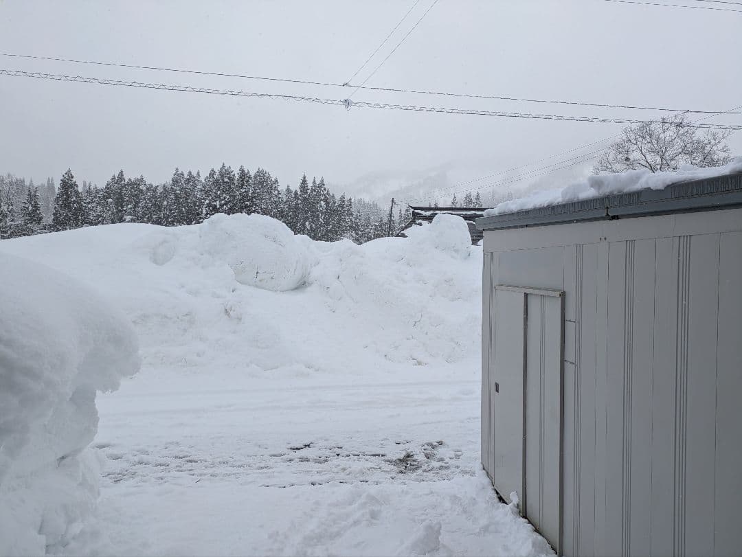 頑張ろ福島　令和７年度産会津コシヒカリ20キロ