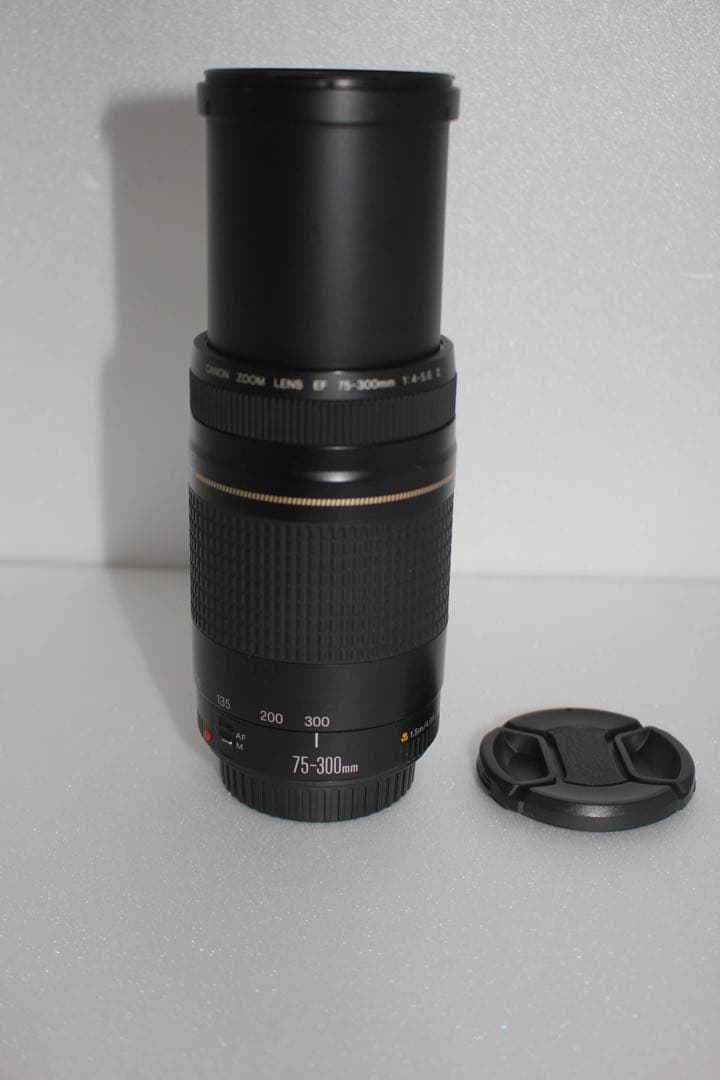 イベント☆キャノン☆大迫力の300㎜☆Canon EF75-300㎜