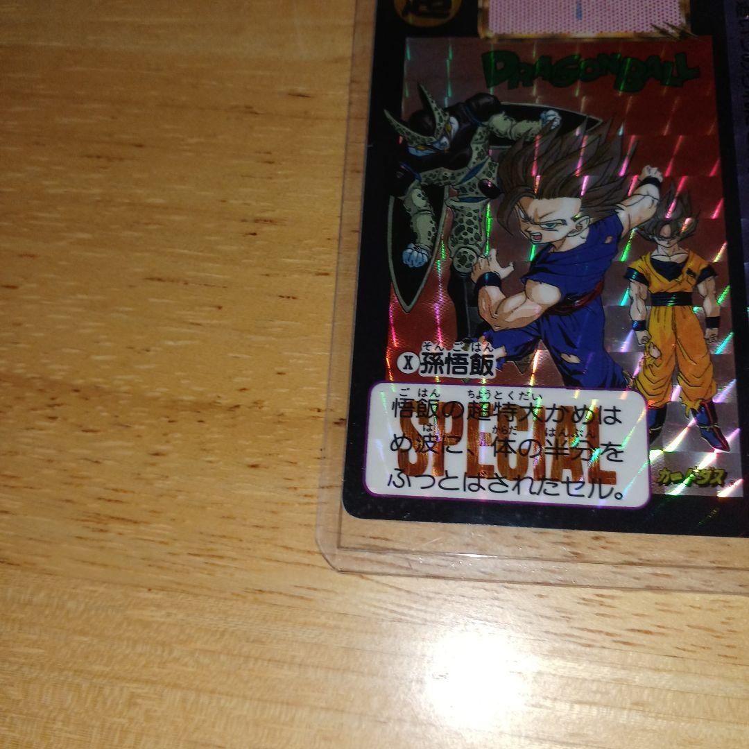 す*ど様 【ドラゴンボール】めちゃんこプロジェクトNo.10 孫悟飯