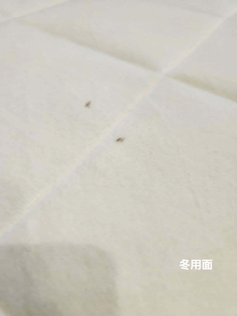 マッドレスパッド　マットレス　エアウィーヴ 01 クイーン (幅：160㎝)