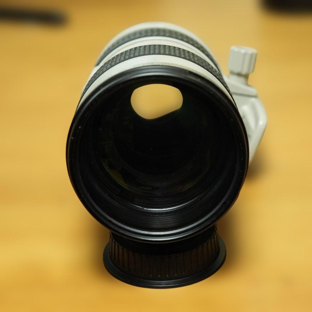 Canon EF 70-200mm f/2.8L IS 望遠ズームレンズ