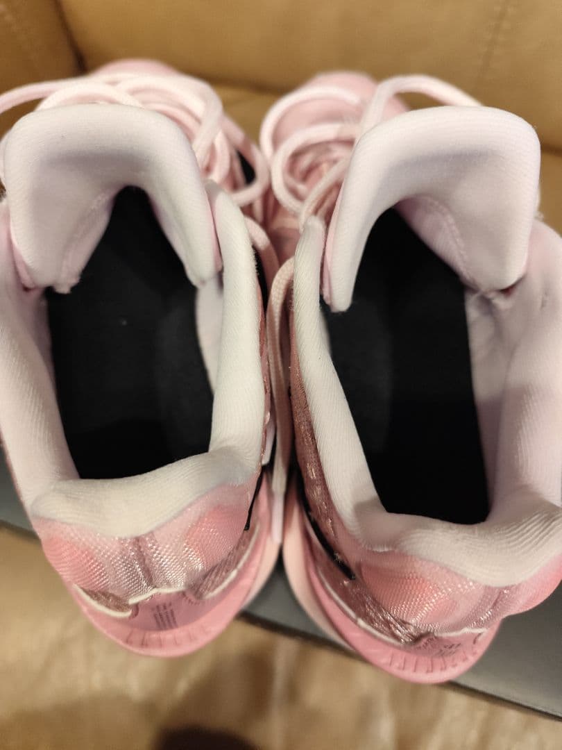 Nike Sabrina Ionescu バッシュ 22.5