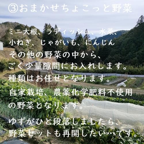 柚のや★送料込★高知県産ゆず酢900ml 6本 旬しぼり★農薬不使用★柚子酢