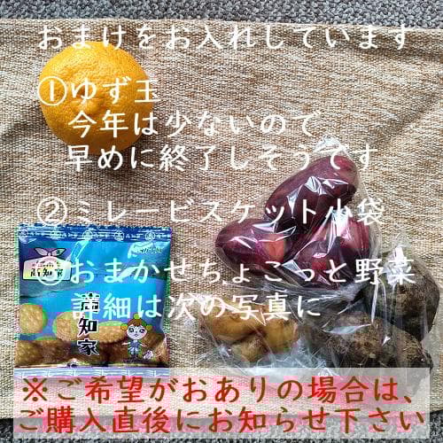 柚のや★送料込★高知県産ゆず酢900ml 6本 旬しぼり★農薬不使用★柚子酢