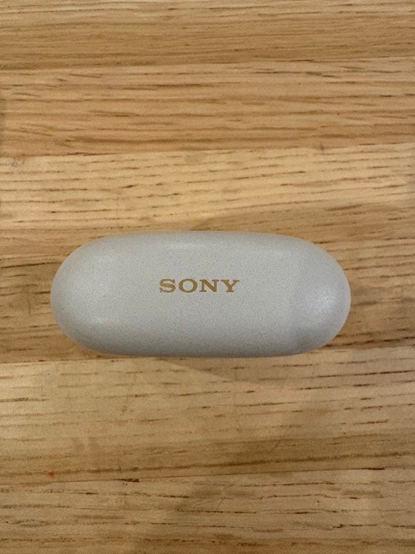 イヤホン SONY WF-1000XM5 S
