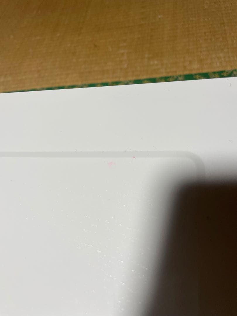 Panasonic NE-FL1A 電子レンジ 600W