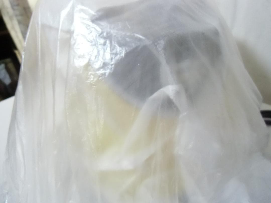 未使用　ケルヒャー　スチームクリーナー SC JTK 20/アクセサリーセット付