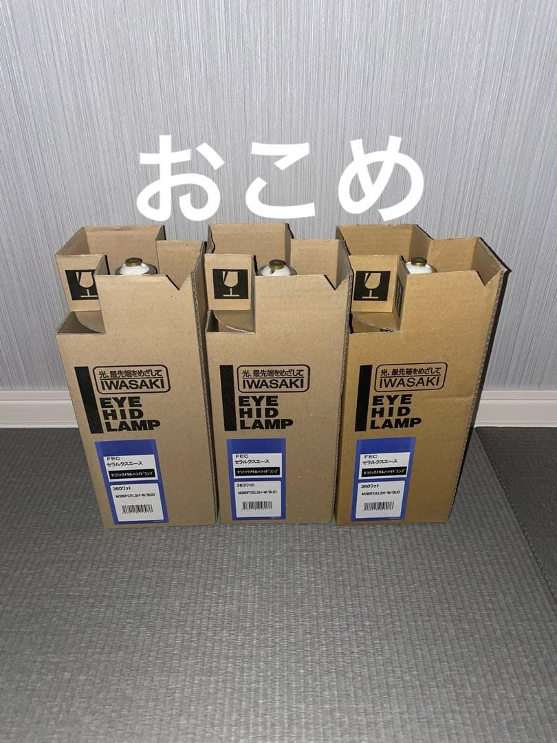 IWASAKI FEC セラミックメタルハライドランプ360W