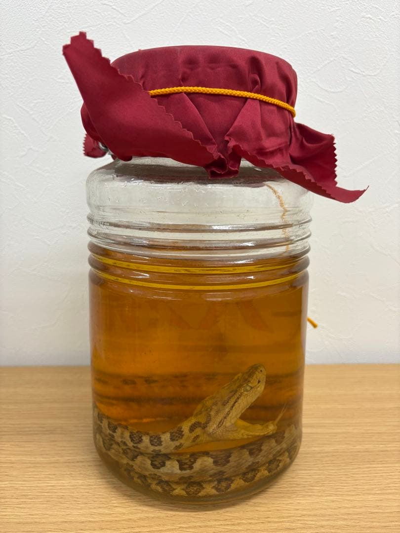 【値下げ】ハブ酒ハチミツ入　3,300ml　沖縄特産　仲里酒造