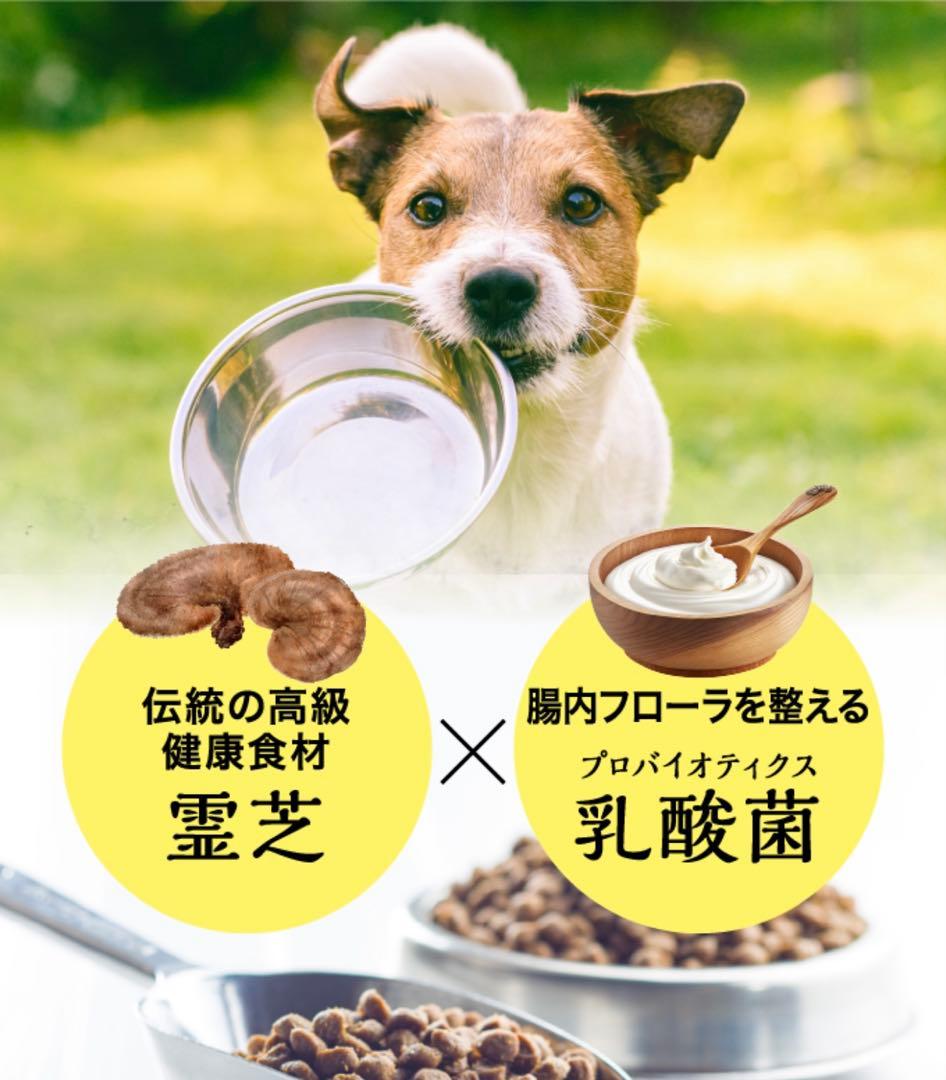 プレミアム犬康食ワン　粒タイプ　9g(300mg×30粒）✖︎3袋