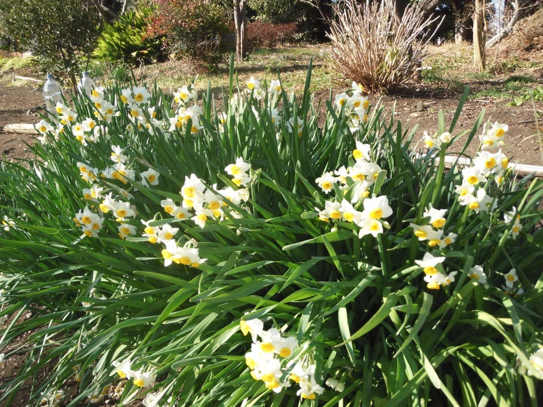 実写美⭕️良品【動作確認済】FUJIFILM FINEPIX Z300