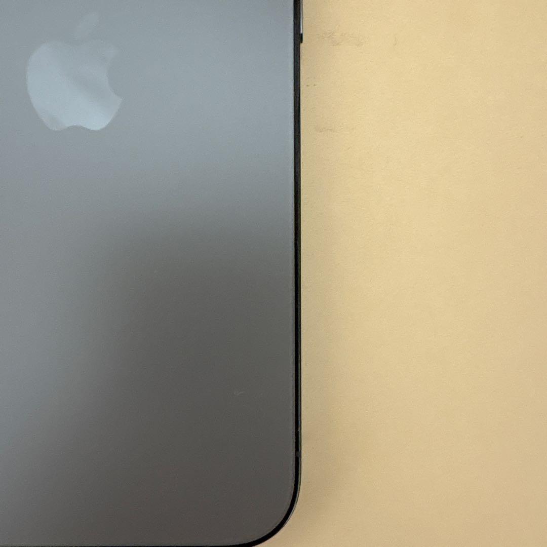 Apple iPhone 13 Pro シルバー 本体 iFaceケース付き