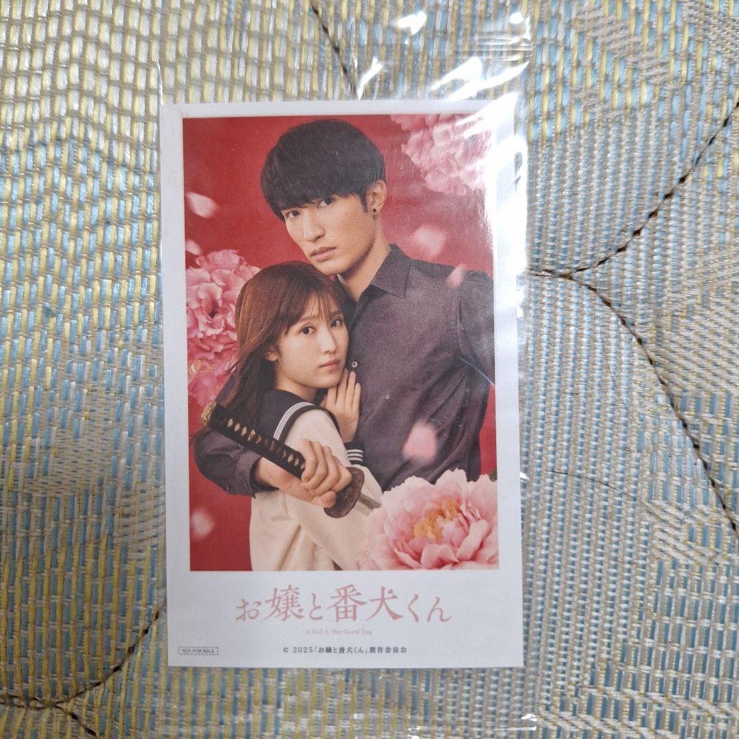 お嬢と番犬くん 豪華版('25「お嬢と番犬くん」)〈2枚組〉+入場者特典1枚