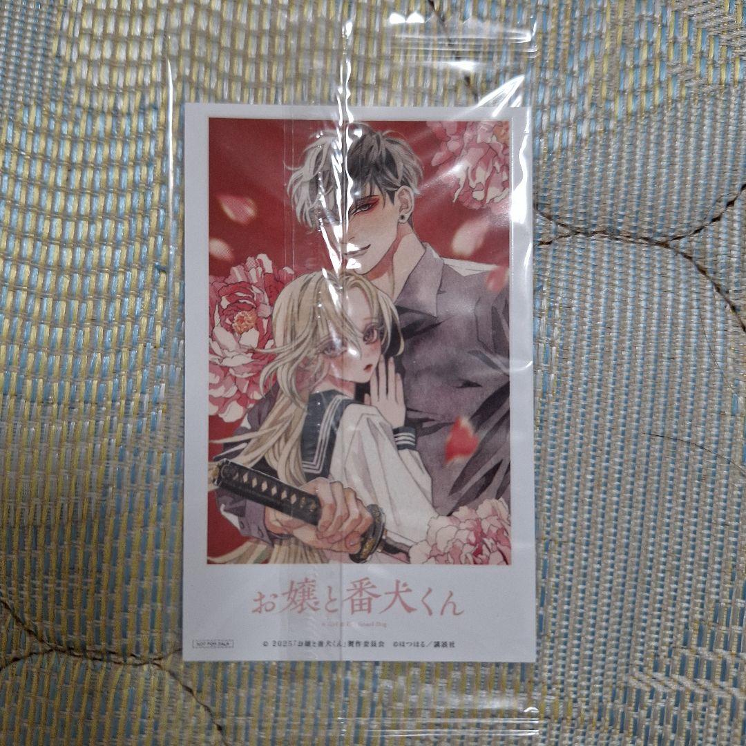 お嬢と番犬くん 豪華版('25「お嬢と番犬くん」)〈2枚組〉+入場者特典1枚