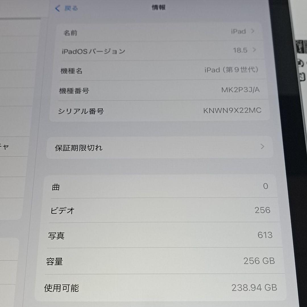 NANA  (美品) iPad 10.2 第9世代 WiFi 256GB