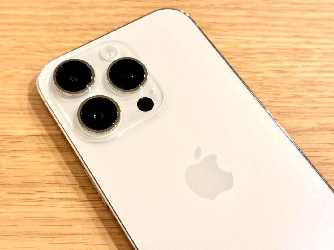 【美品】iPhone14 Pro 256GB シャッター音無し 専用ケース付き