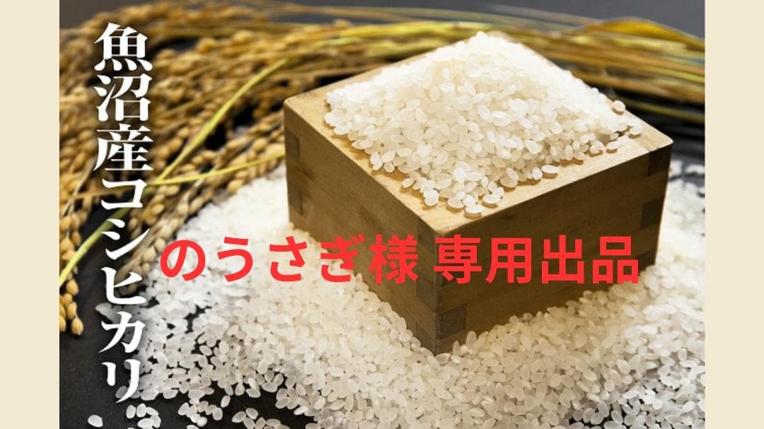 魚沼産コシヒカリ のうさぎ出品