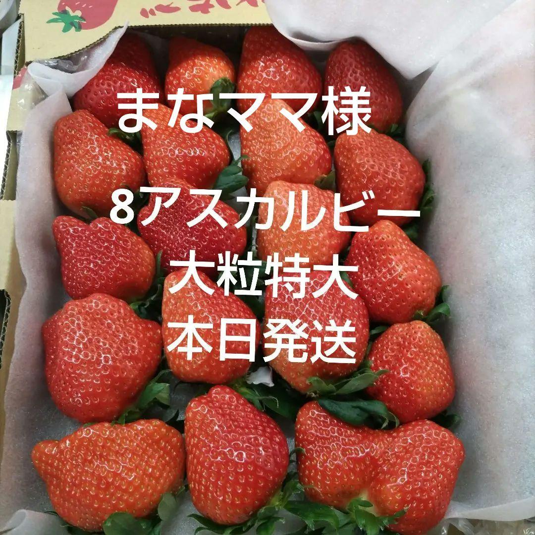 いちご8アスカルビー大粒特大