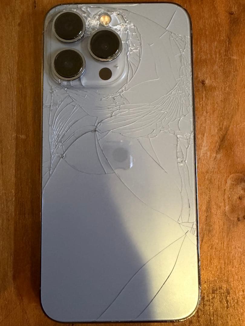 もしもし亀かもよ iPhone 13 Pro 128GB