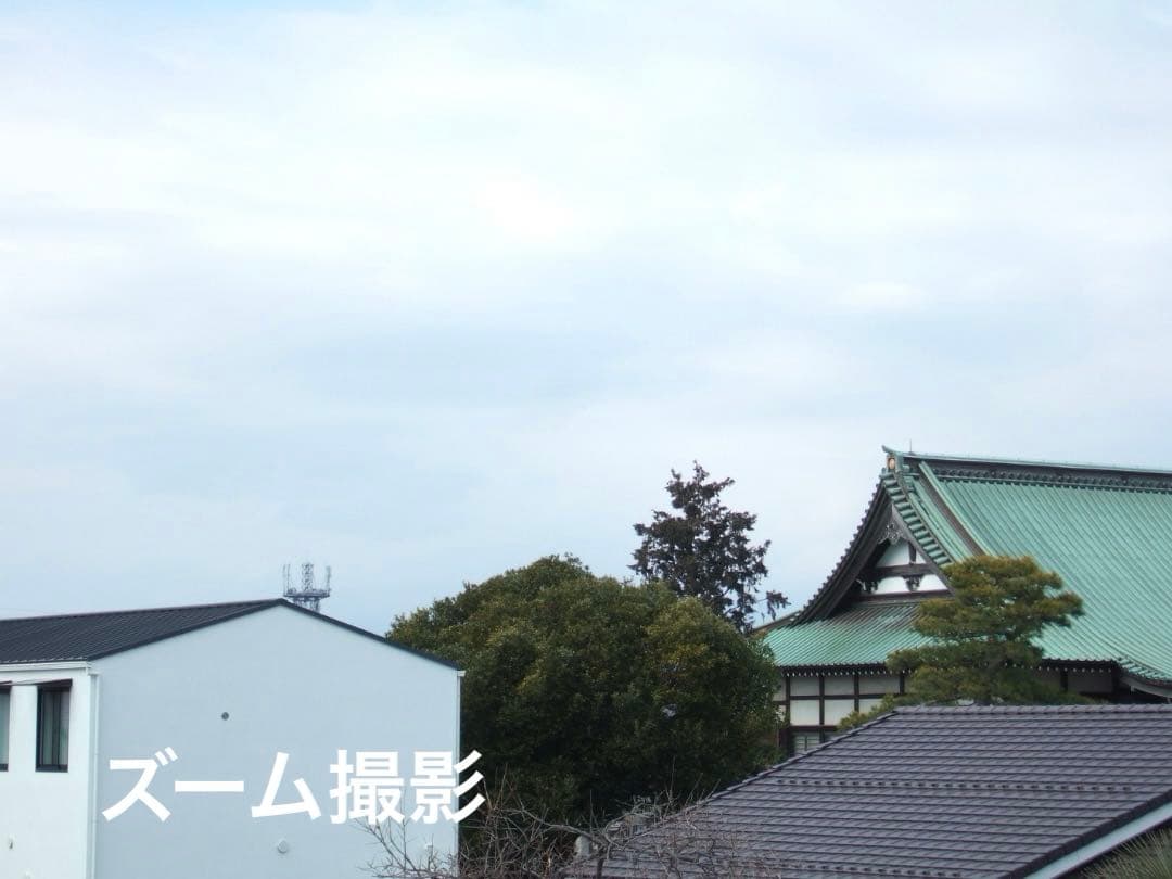 実写美⭕️【動作確認済】FUJIFILM FinePix F11 デジカメ