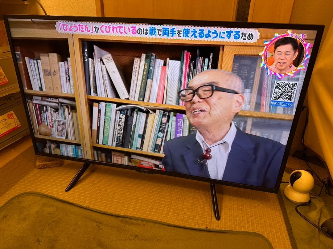 SHARP シャープ　42型　テレビ 2T-C42BE1 20年製　極美品！