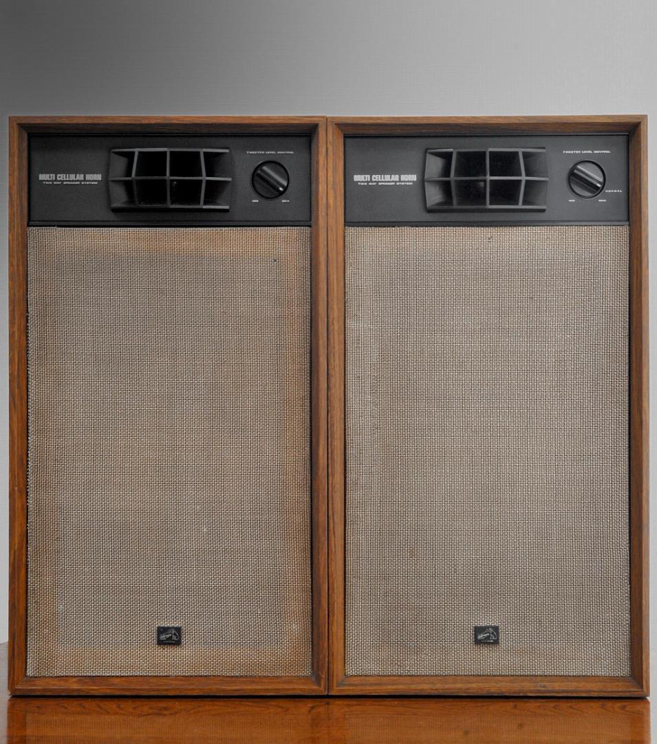 ★洒落感あって人気の2ウエイセクトラルホーンのVICTOR BLA-G620T