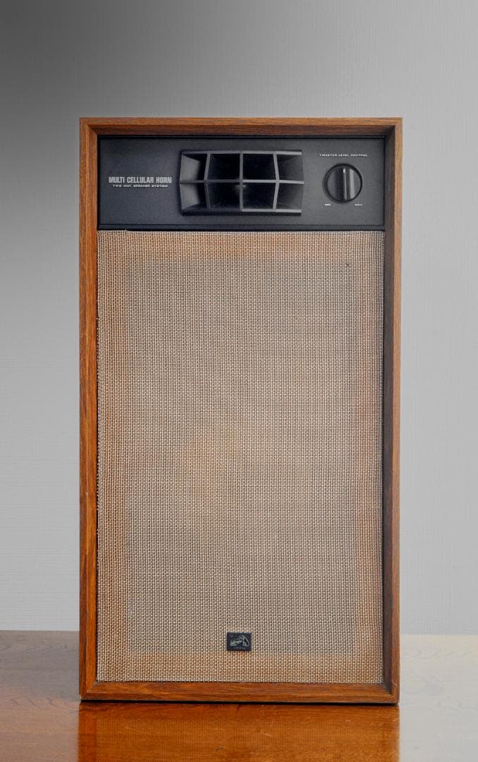 ★洒落感あって人気の2ウエイセクトラルホーンのVICTOR BLA-G620T