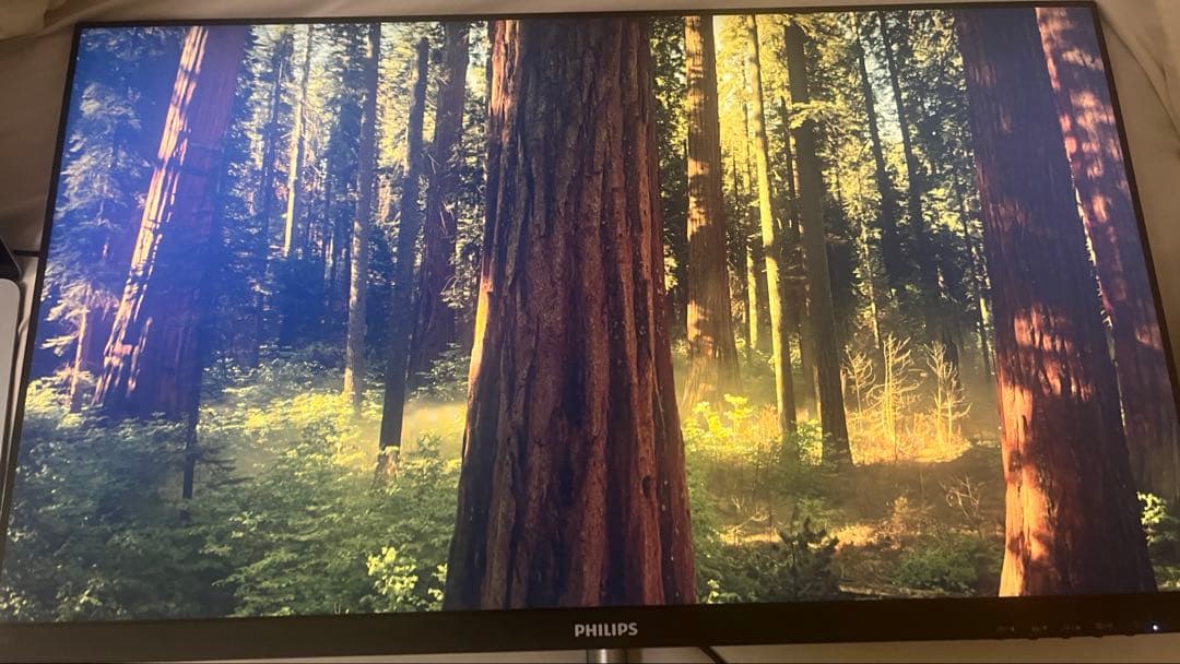 Philips 27インチモニター 271E1D/11