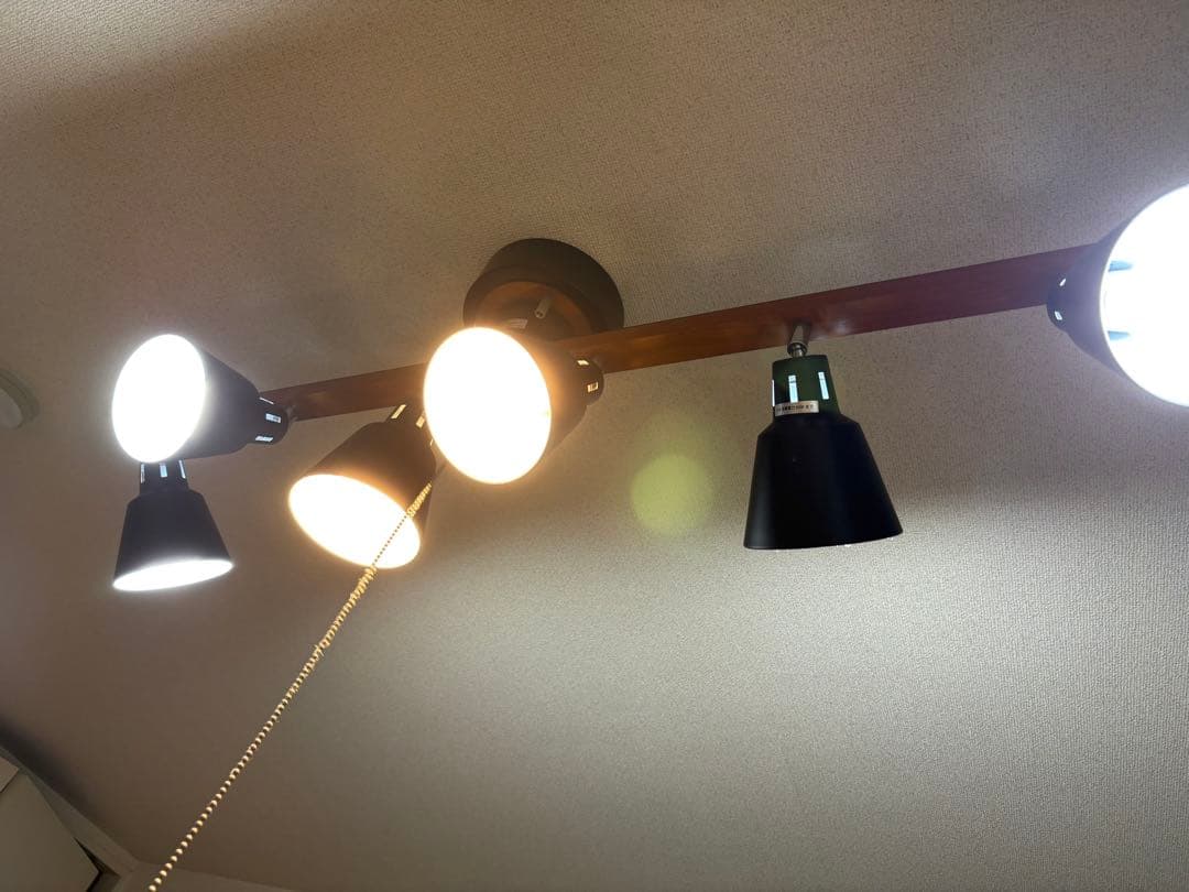 【値段交渉可】エア•リゾームインテリア　シーリングライト　manis