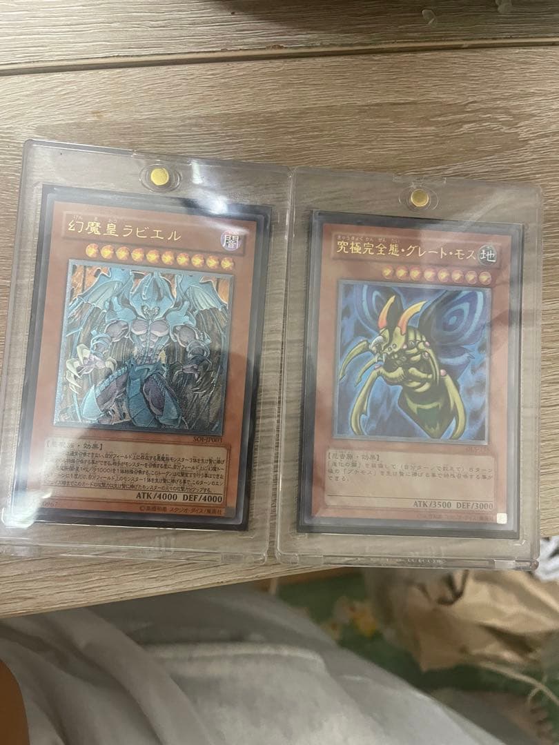 グレートモス　ラビエル　レリーフ