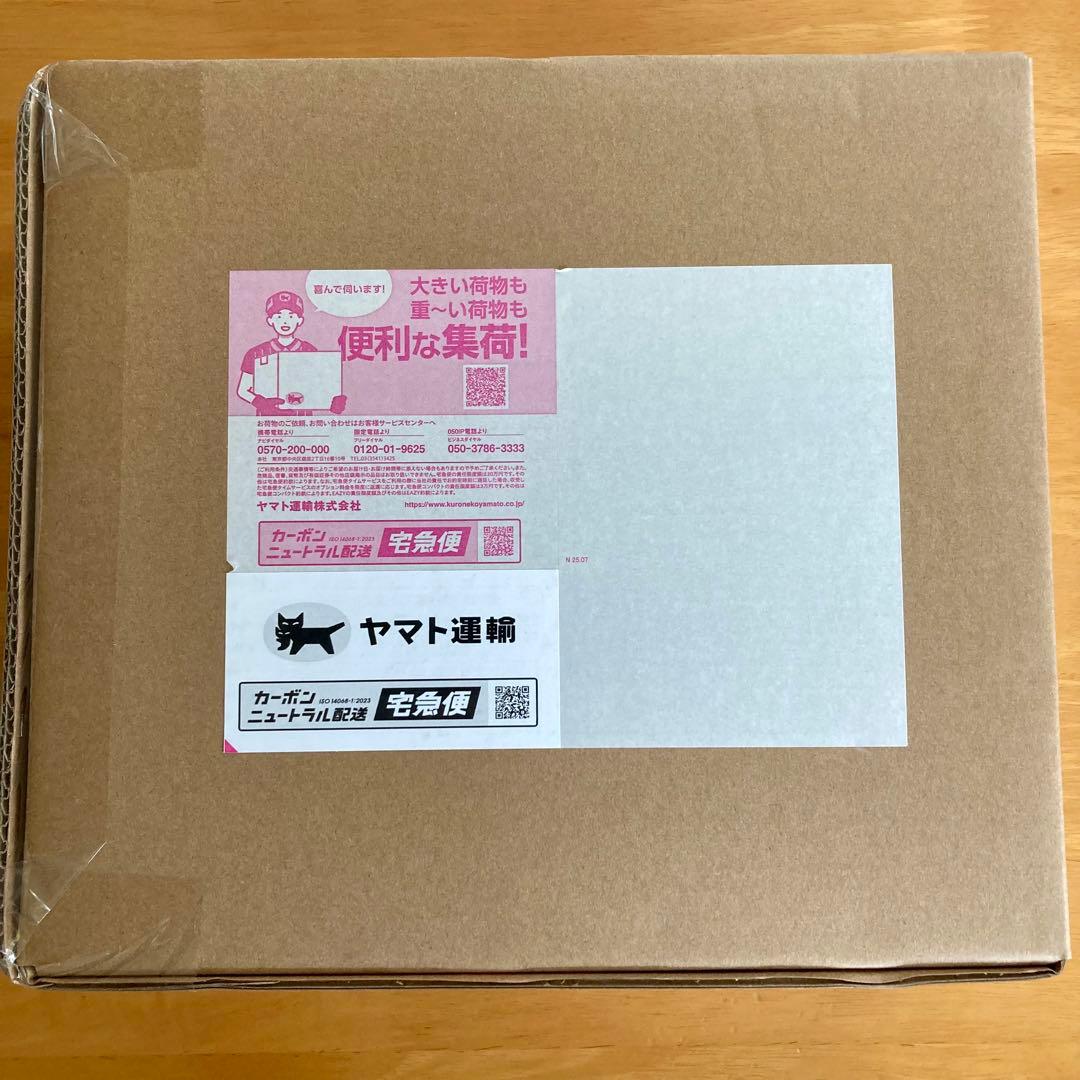 【新品未開封品】ポータブルDJシステム「FJ1」