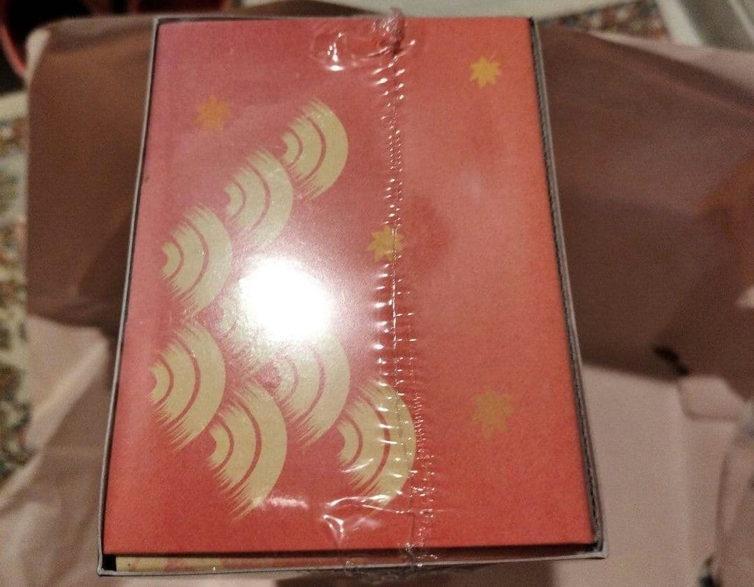 ポケモンカード スペシャルBOX ポケモンセンターヒロシマ 未開封 シュリンク付