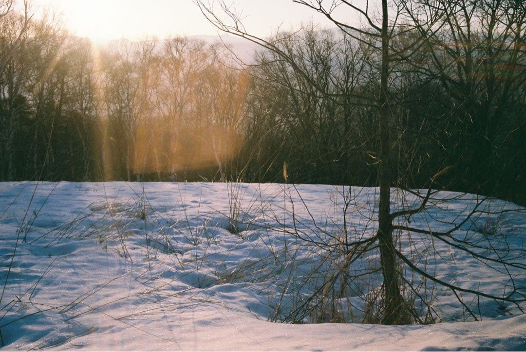 h*o様 OLYMPUS TRIP 35 コンパクトフィルムカメラ