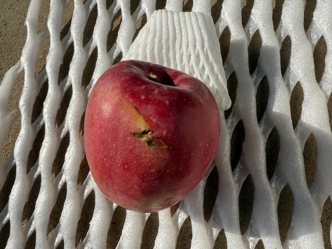 【すみちゃん】5kg×3箱　サンふじ