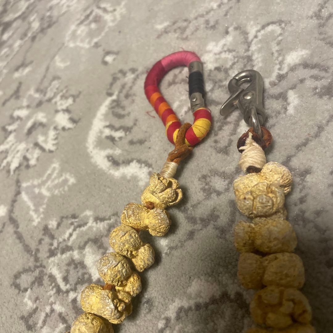 rebirth ポップチェーン 堀木 NADA whiz