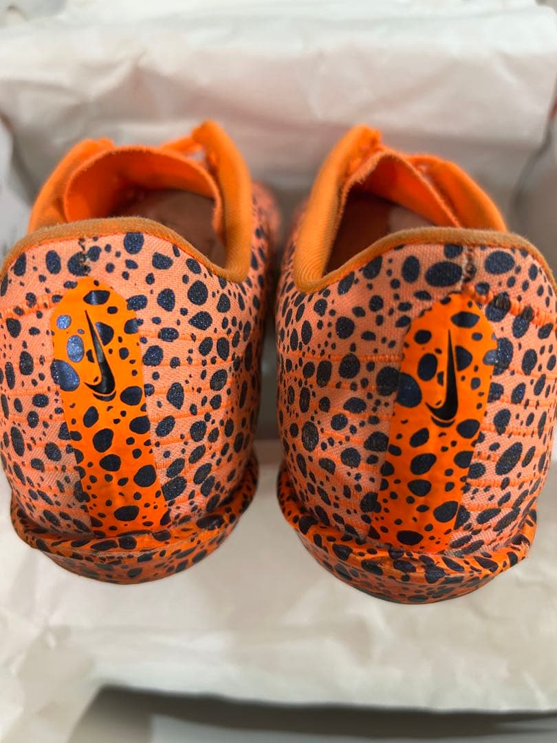 マックスフライ2（25cm）パンクなし 限定モデル 付属品付き　最終値下げ