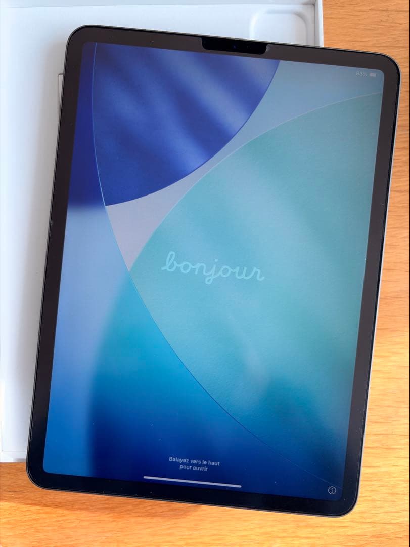 iPad Pro 11インチ (第2世代) 1TB Wi-Fi ペン、カバー付