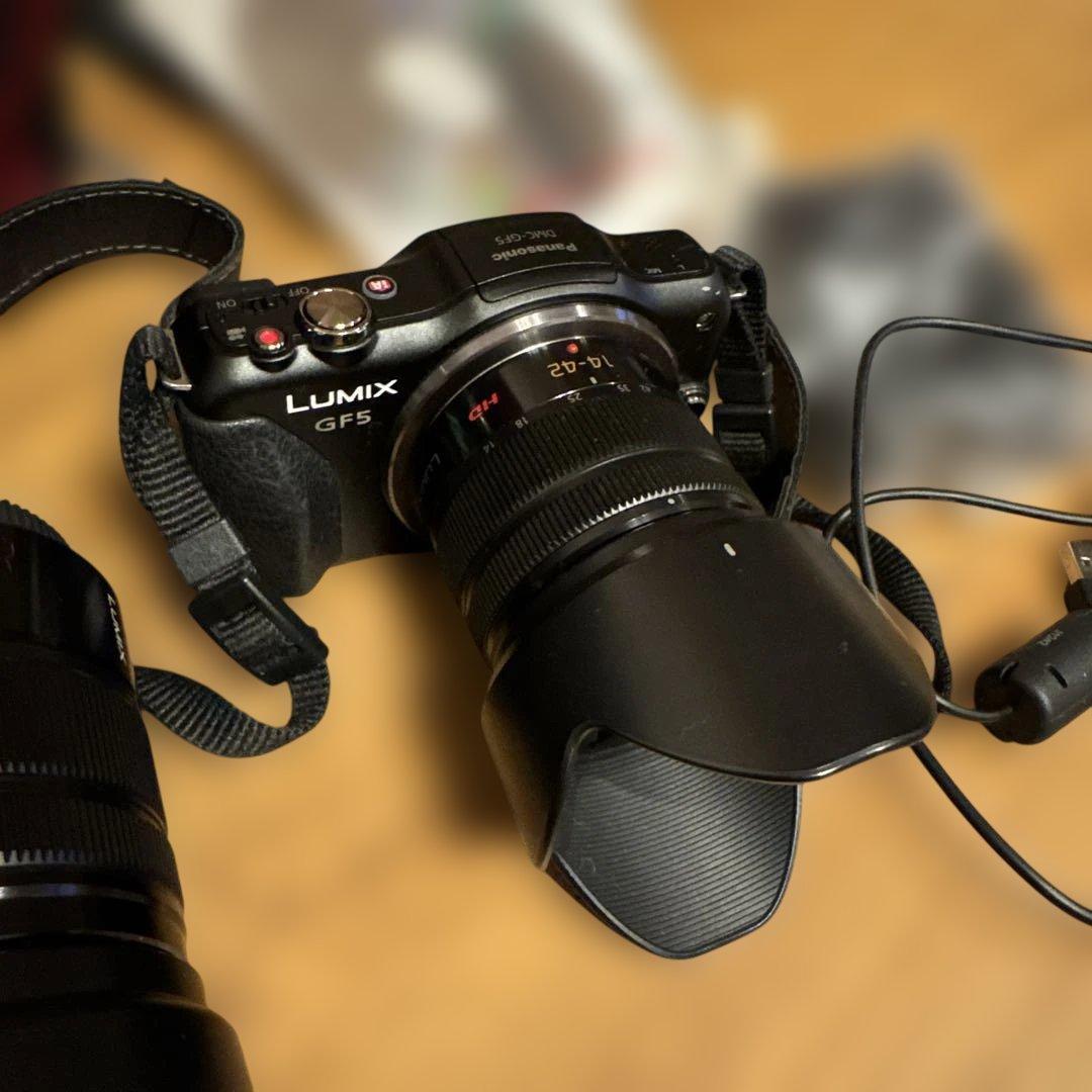 Panasonic Lumix ダブルズームレンズキット DMC-GF5WA-K