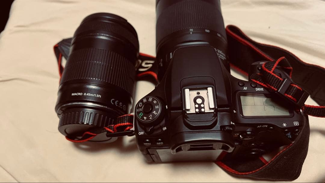 Canon EOS 90D ボディ+レンズセット（望遠+広角）