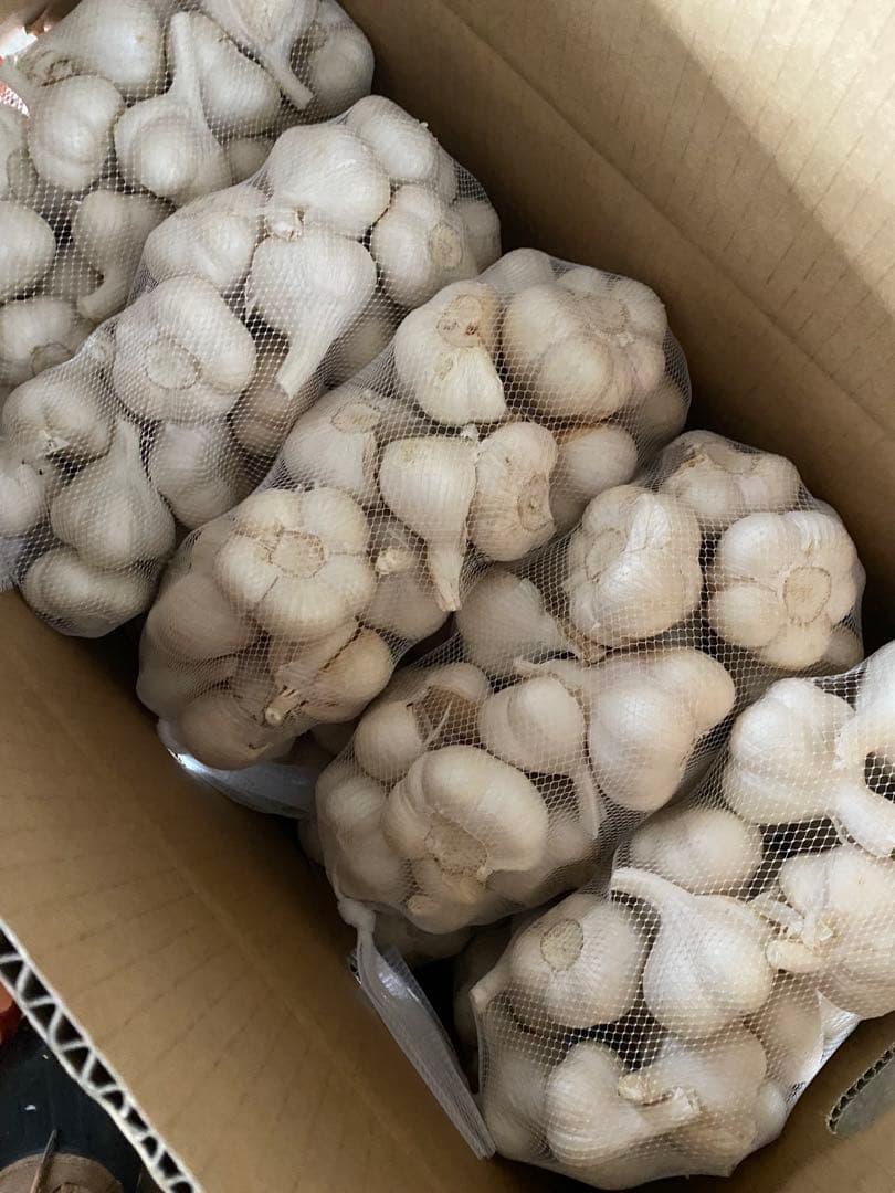 早い者勝ち　青森県にんにく5Kg ML