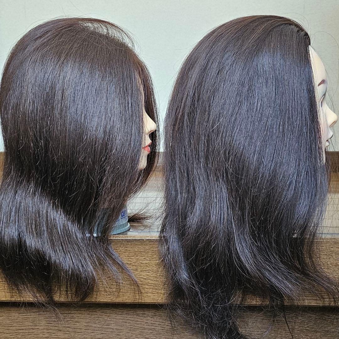 ヘアーマネキン 練習用2点セット