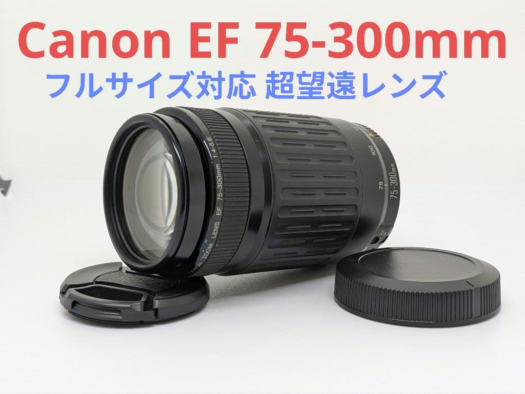 11月20日限定特価✨【超望遠レンズ】Canon EF 75-300mm