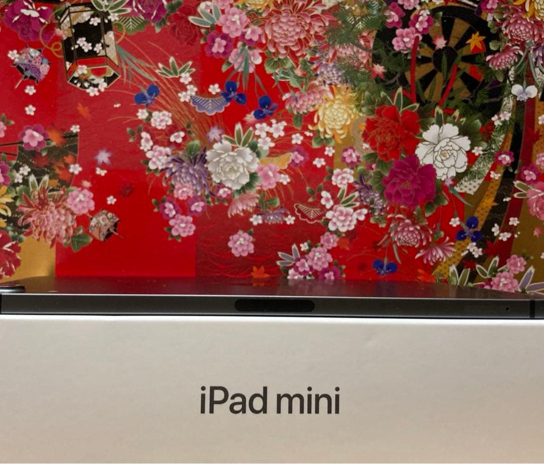 美品 iPad mini6 cellular 256GB バッテリー100%